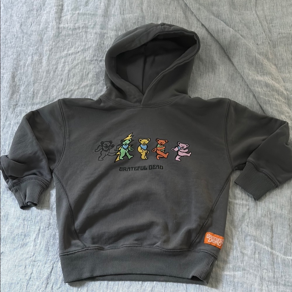 Grateful Dead Dancing Bears Hoodie in Charcoal with Colorful Bears